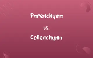 Parenchyma vs. Collenchyma