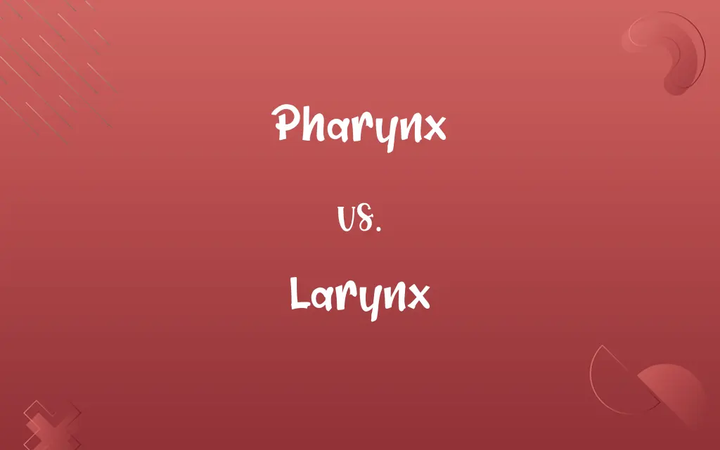 Pharynx vs. Larynx