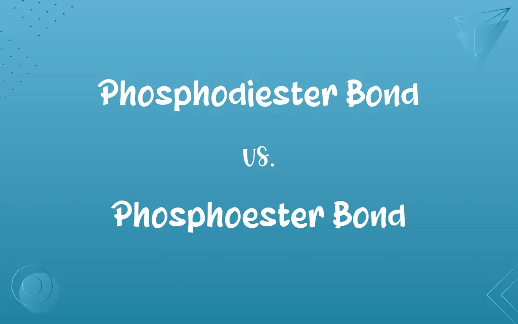 Phosphodiester Bond vs. Phosphoester Bond