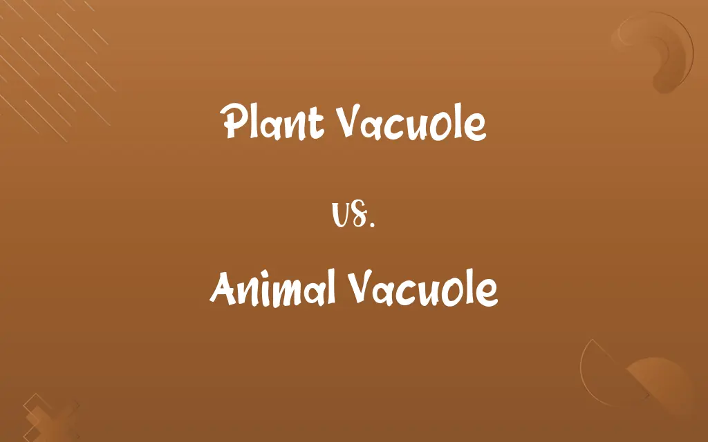 Plant Vacuole vs. Animal Vacuole