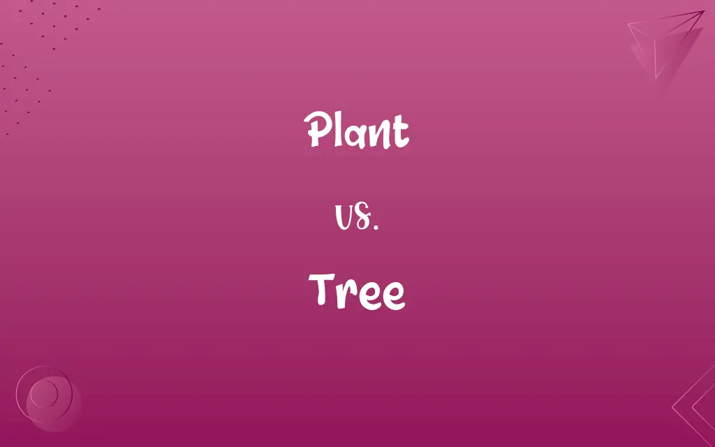Plant vs. Tree