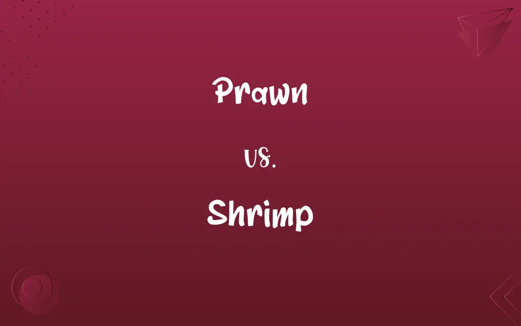 Prawn vs. Shrimp