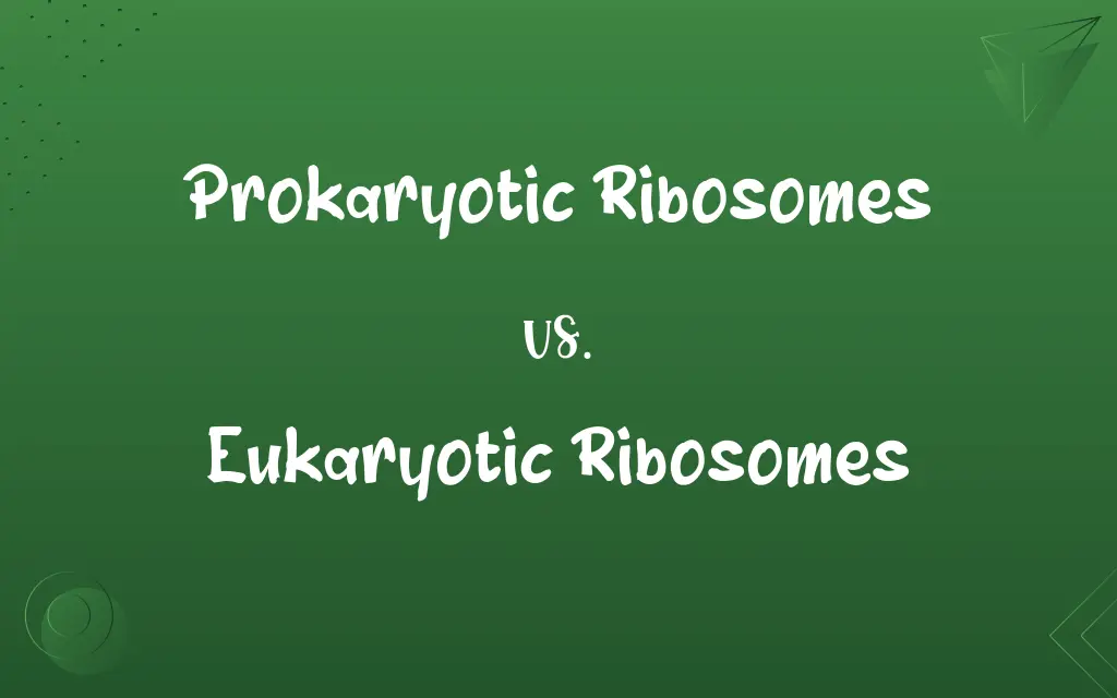 Prokaryotic Ribosomes vs. Eukaryotic Ribosomes