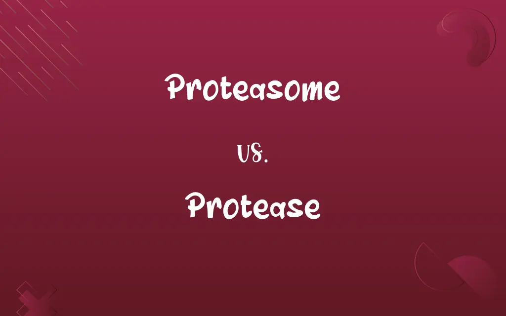 Proteasome vs. Protease