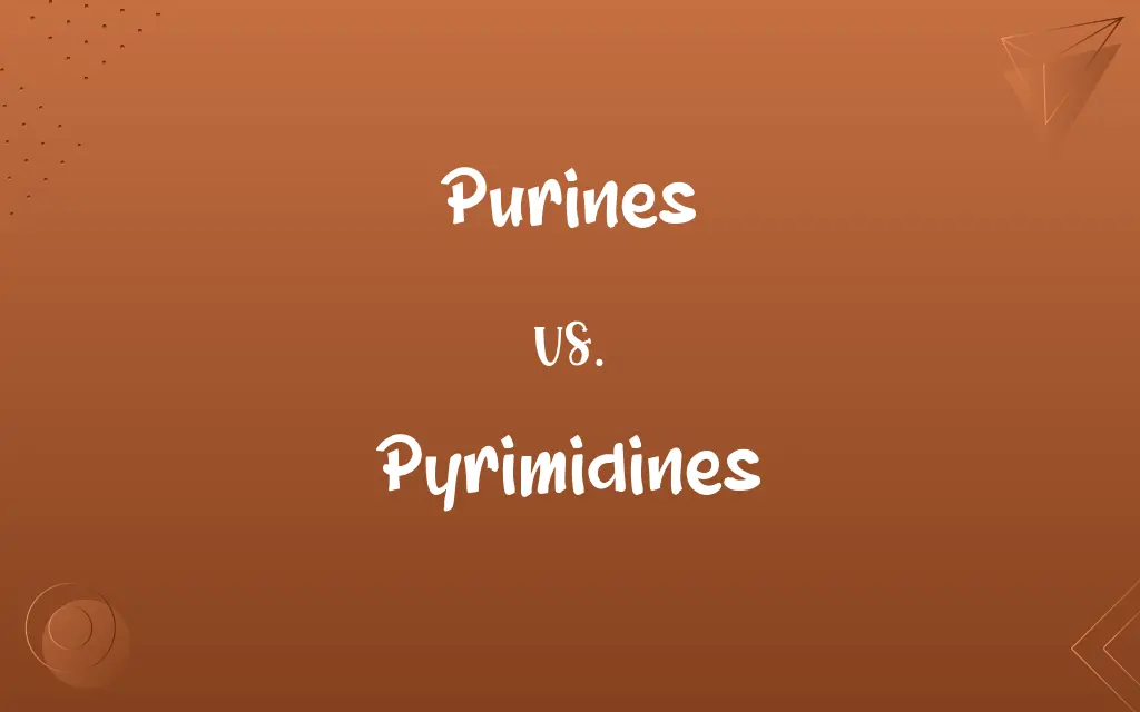 Purines vs. Pyrimidines