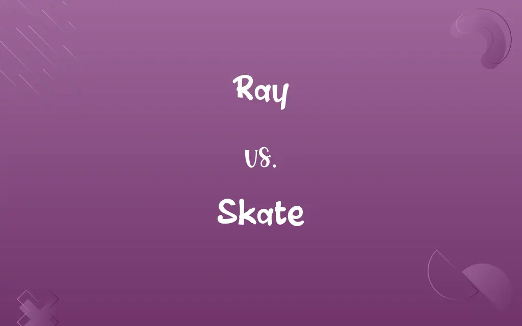 Ray vs. Skate