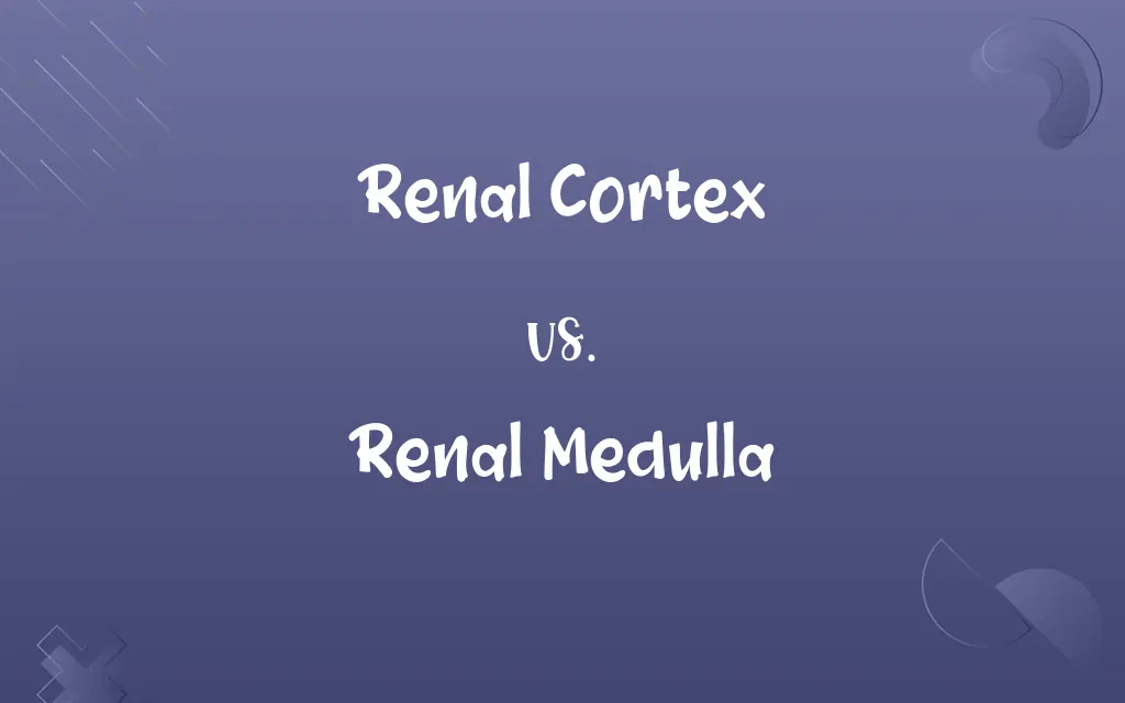 Renal Cortex vs. Renal Medulla