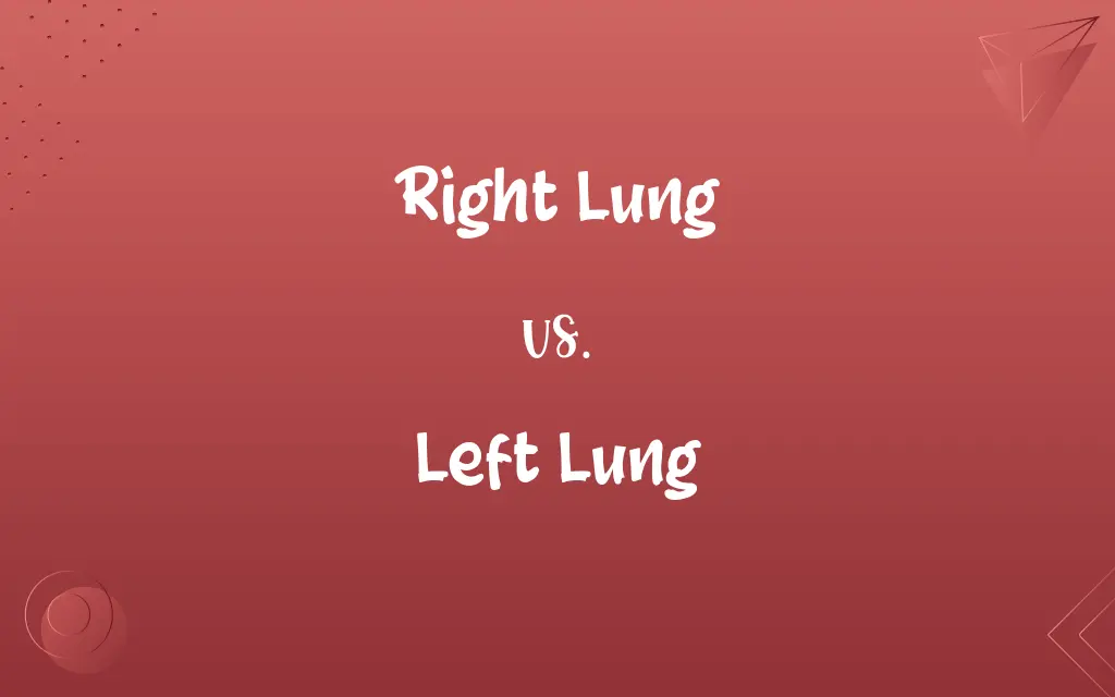Right Lung vs. Left Lung