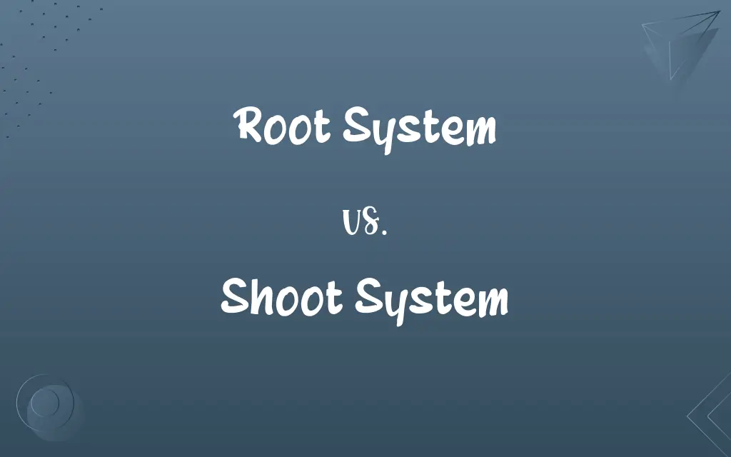 Root System vs. Shoot System