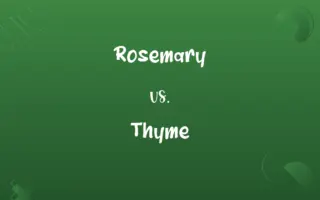 Rosemary vs. Thyme