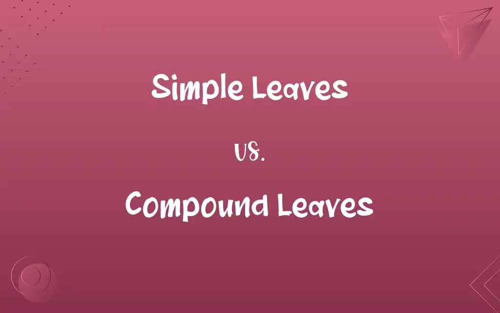 Simple Leaves vs. Compound Leaves