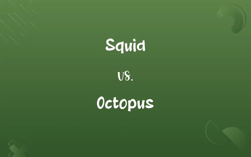 Squid vs. Octopus