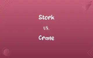 Stork vs. Crane