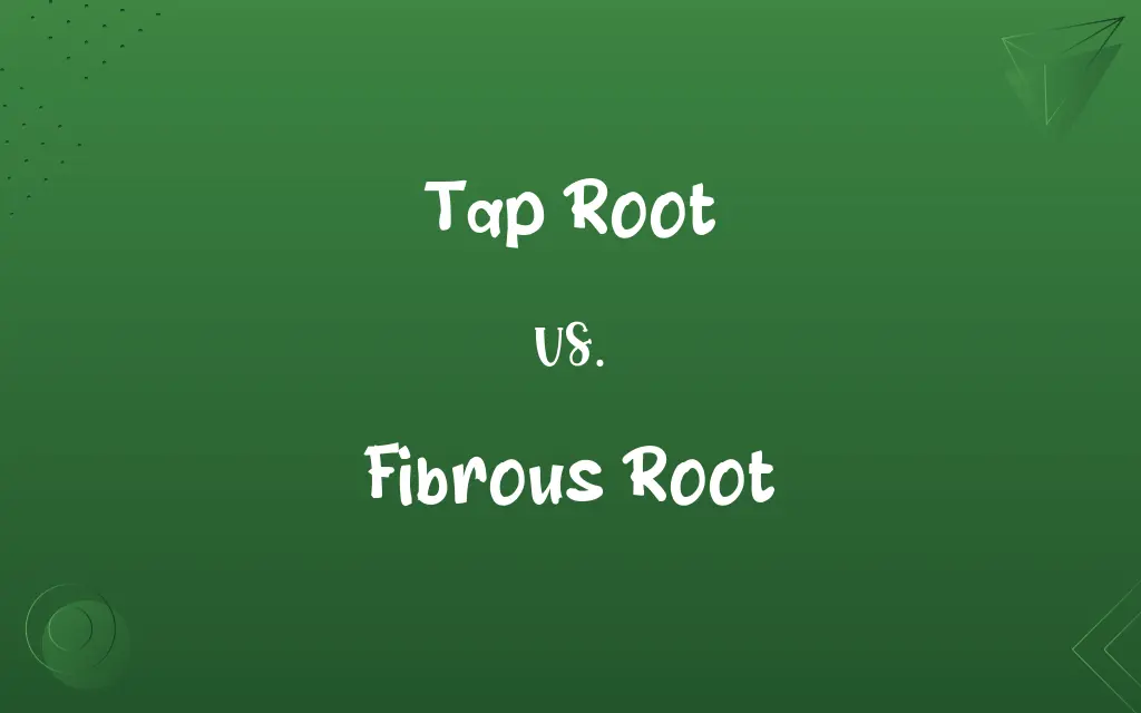 Tap Root vs. Fibrous Root