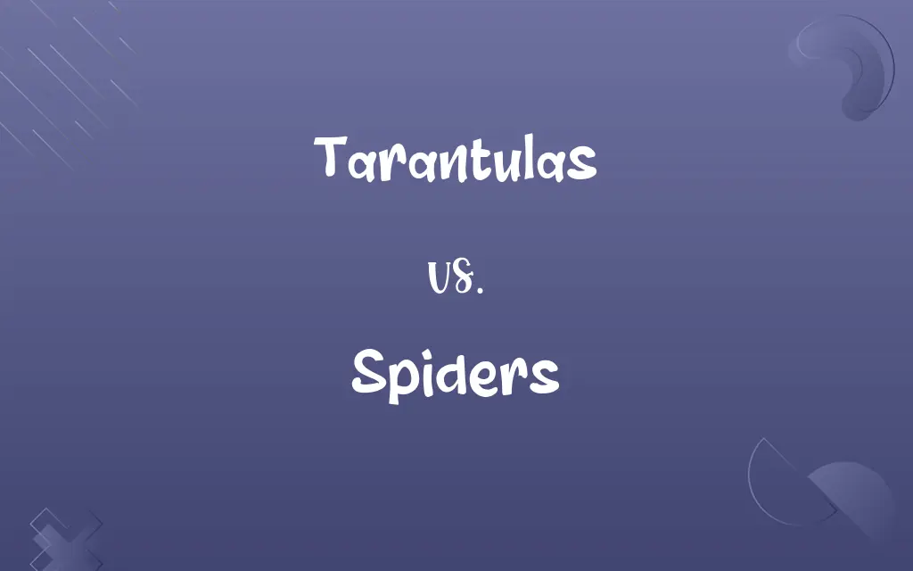 Tarantulas vs. Spiders