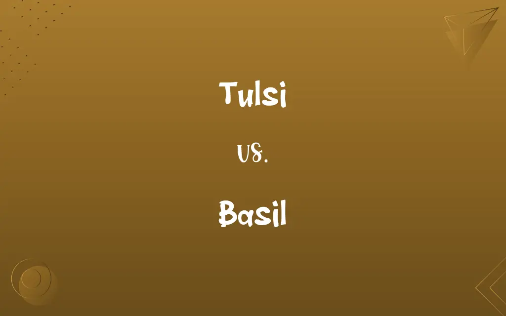 Tulsi vs. Basil