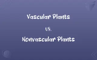 Vascular Plants vs. Nonvascular Plants