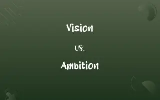 Vision vs. Ambition