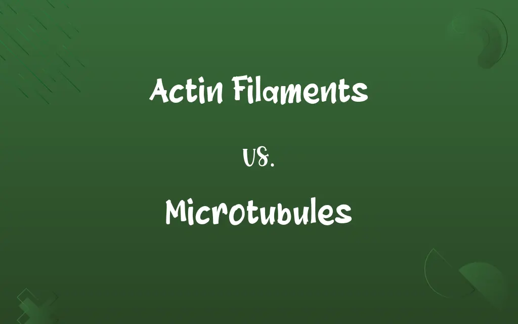 Actin Filaments vs. Microtubules