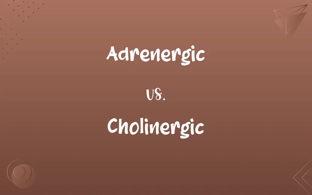 Adrenergic vs. Cholinergic