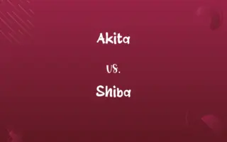 Akita vs. Shiba