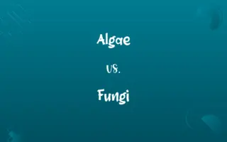 Algae vs. Fungi