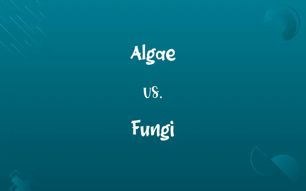 Algae vs. Fungi