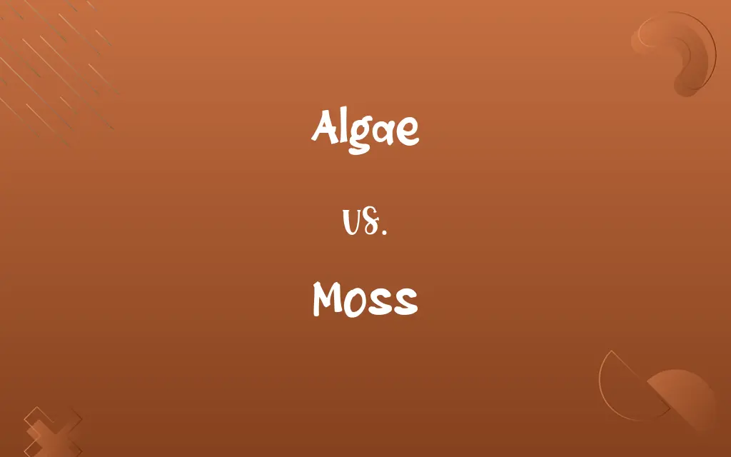 Algae vs. Moss