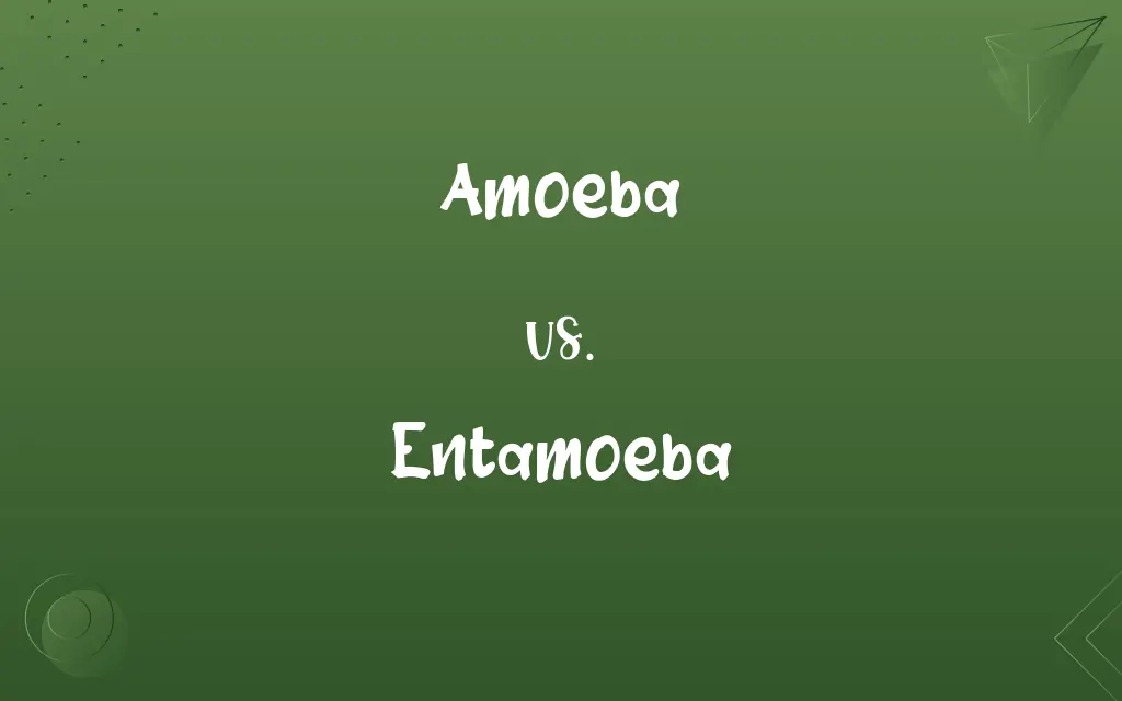 Amoeba vs. Entamoeba