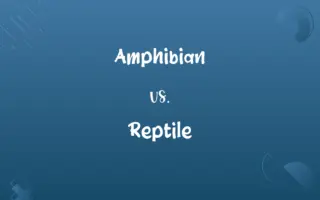 Amphibian vs. Reptile