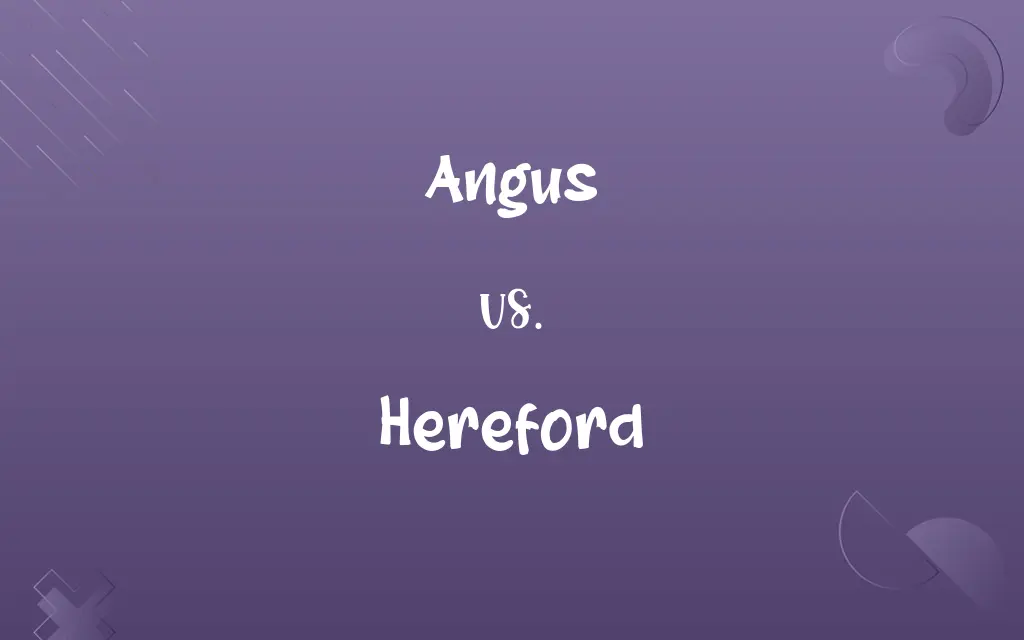 Angus vs. Hereford