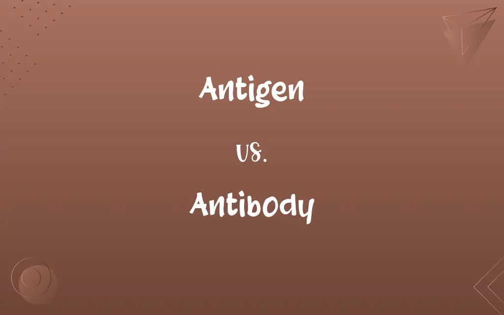 Antigen vs. Antibody