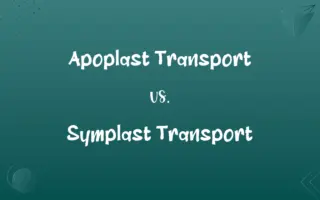 Apoplast Transport vs. Symplast Transport