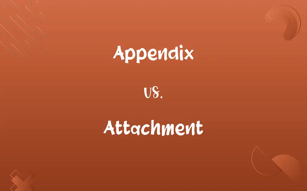Appendix vs. Attachment