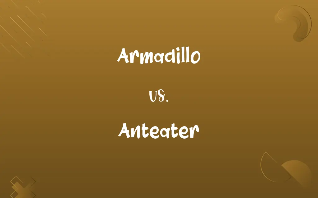 Armadillo vs. Anteater