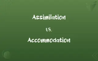 Assimilation vs. Accommodation