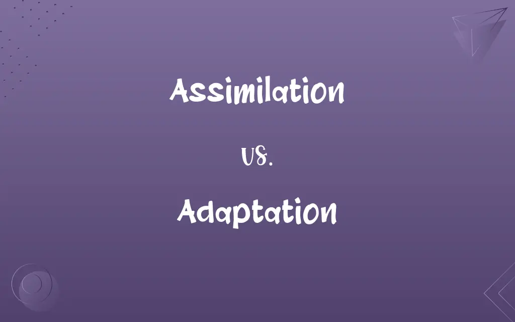 Assimilation vs. Adaptation