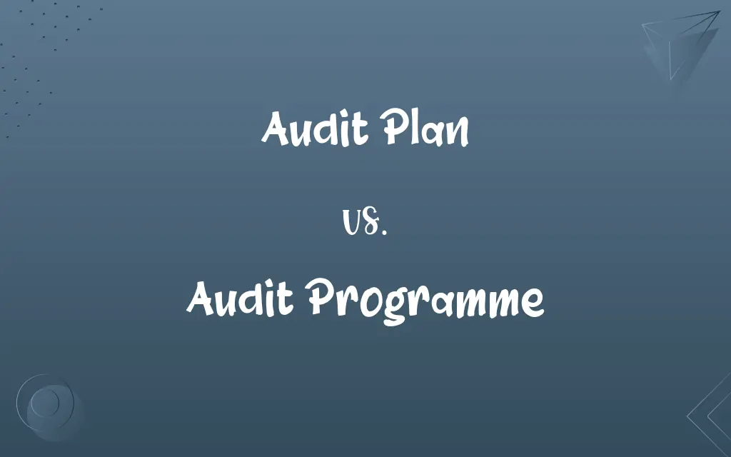 Audit Plan vs. Audit Programme