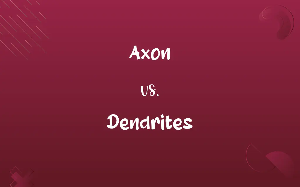 Axon vs. Dendrites