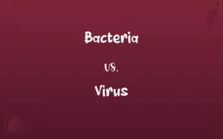 Bacteria vs. Virus