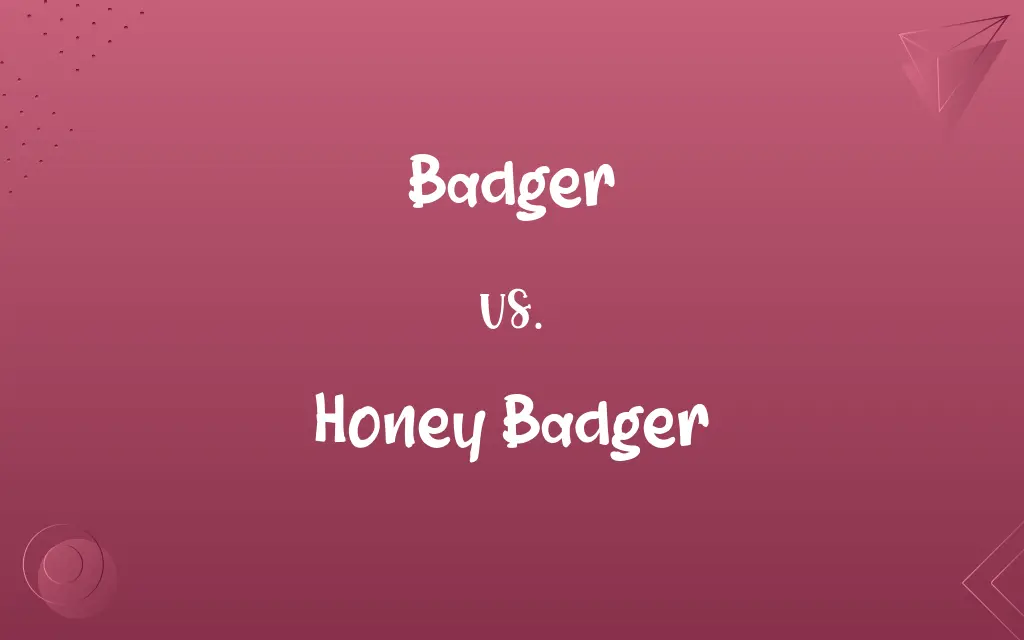 Badger vs. Honey Badger