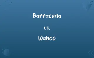 Barracuda vs. Wahoo