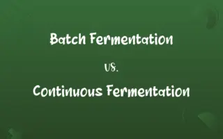 Batch Fermentation vs. Continuous Fermentation
