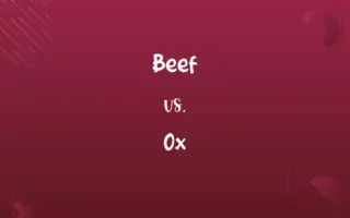 Beef vs. Ox
