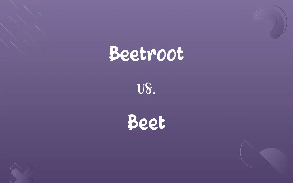 Beetroot vs. Beet