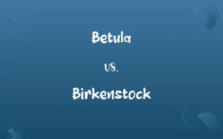 Betula vs. Birkenstock