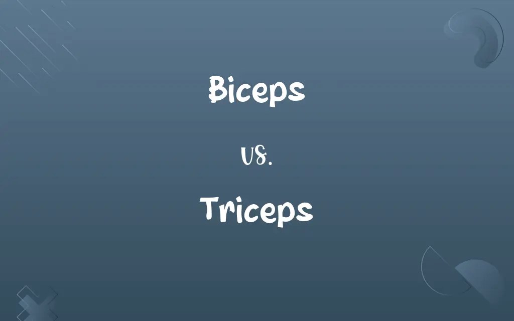 Biceps vs. Triceps