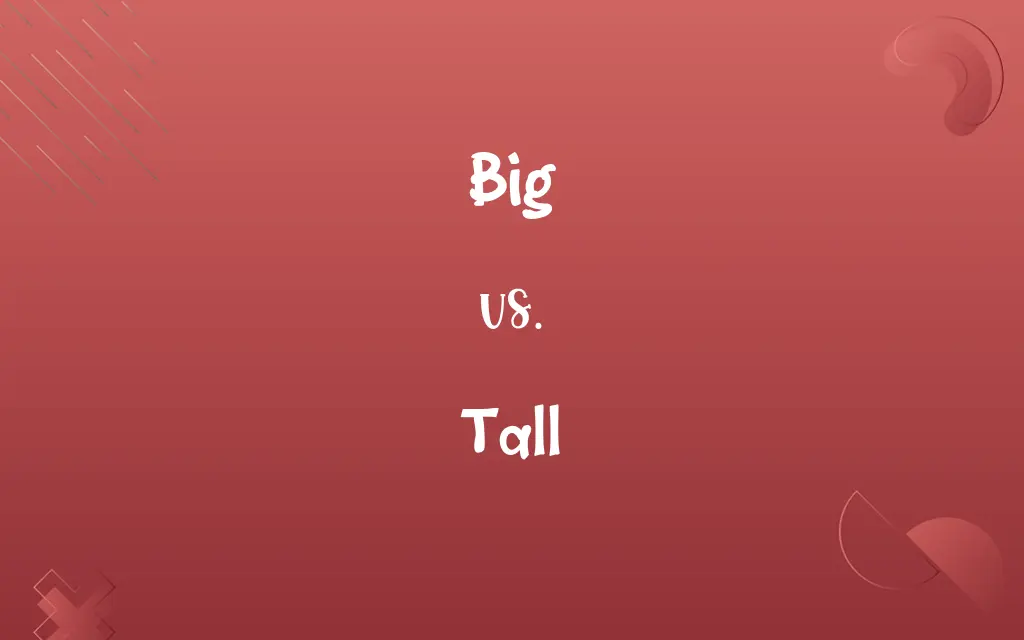 Big vs. Tall