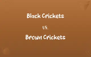 Black Crickets vs. Brown Crickets