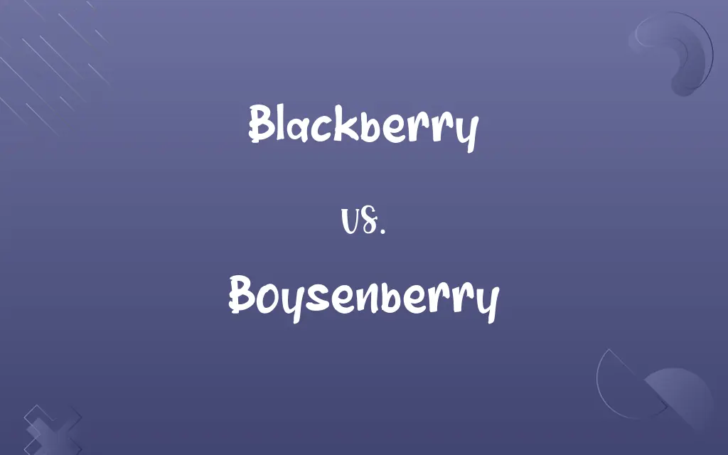 Blackberry vs. Boysenberry
